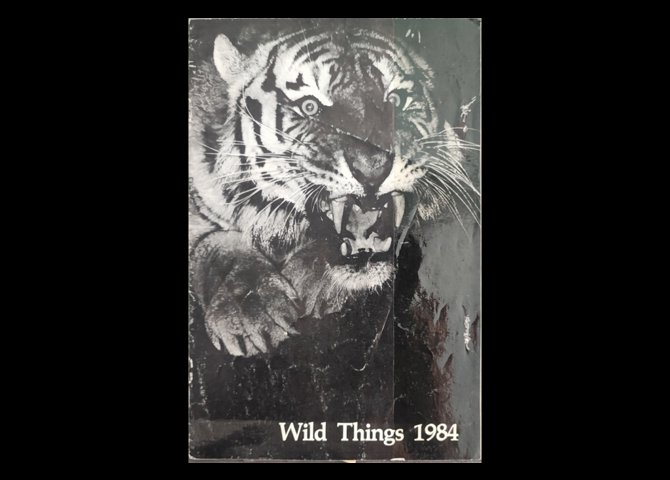  WILD THINGS 1984 CATALOG