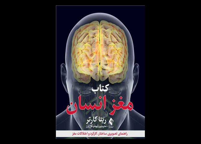 کتاب مغز انسان راهنمای تصویری ساختار، کارکرد و اختلالات مغز ریتا کارتر ابوذر گل ورز