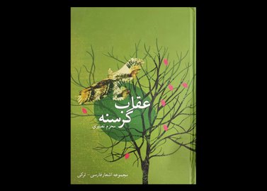 کتاب عقاب گرسنه مجموعه اشعار فارسی و ترکی