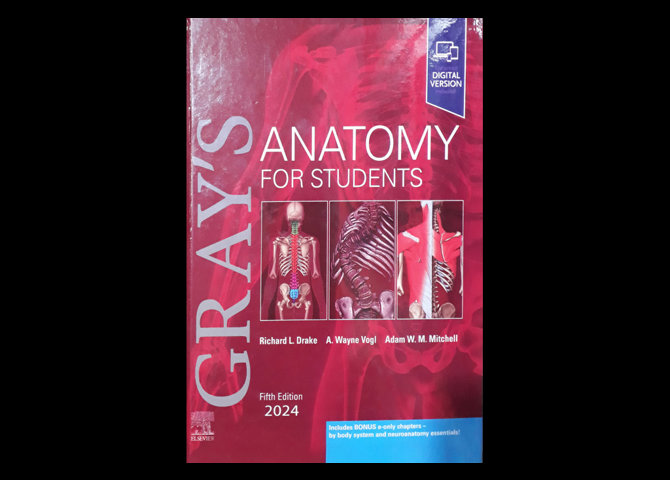 کتاب انگلیسی آناتومی گری Gray's Anatomy for Students 2024